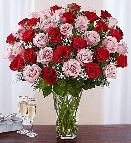 Long Stem Pink and Red Roses