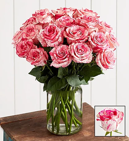 Pink Splashed Roses