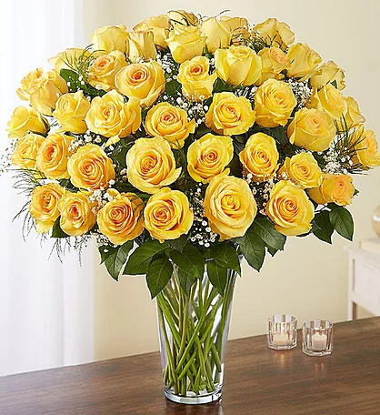 Long Stem Yellow Roses